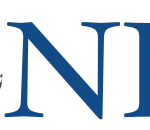 National Democratic Institute